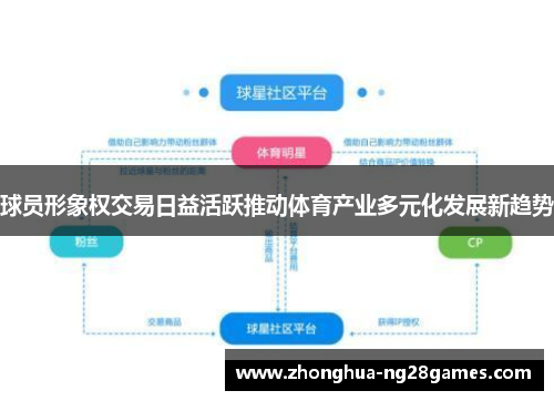 球员形象权交易日益活跃推动体育产业多元化发展新趋势