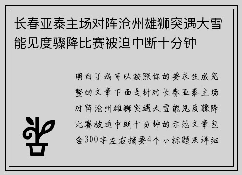 长春亚泰主场对阵沧州雄狮突遇大雪能见度骤降比赛被迫中断十分钟